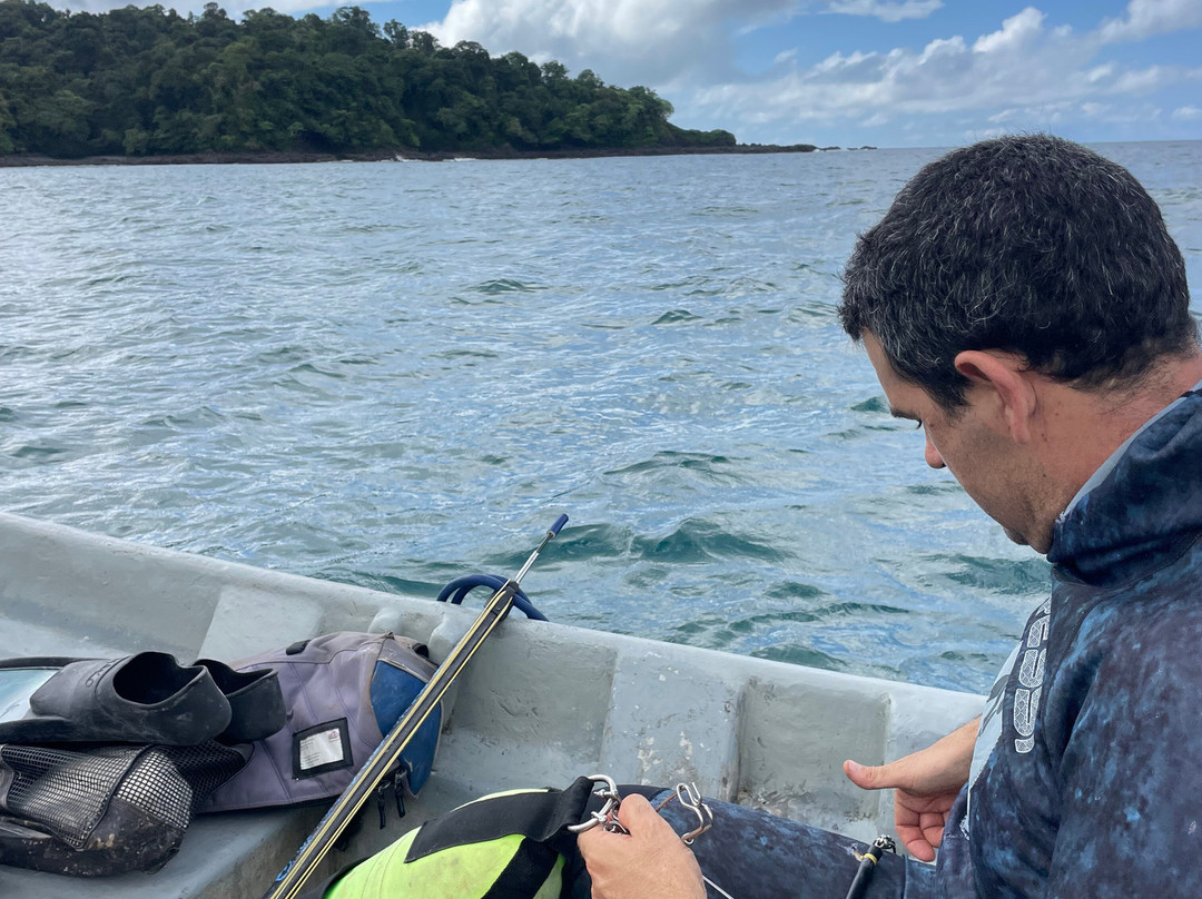 Spearbaby-Santa Catalina必去景点