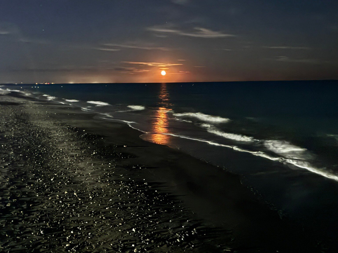 Lido La Playa Beach Club-波利科罗必去景点