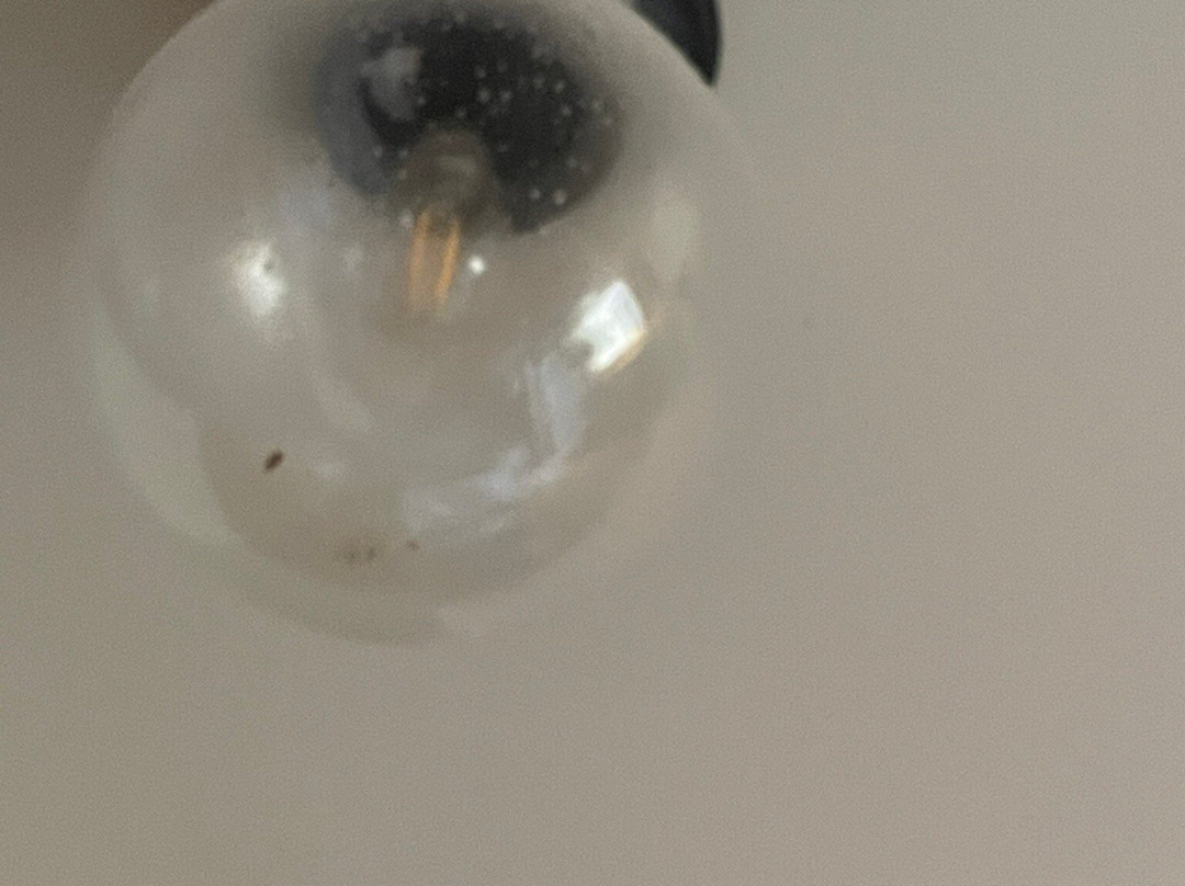 拉伊的乔治酒店主图