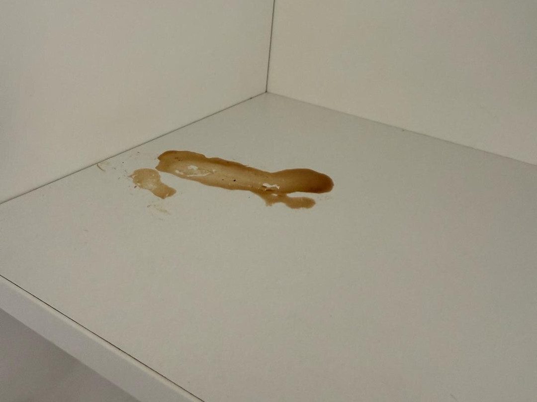 Landal Sluftervallei主图