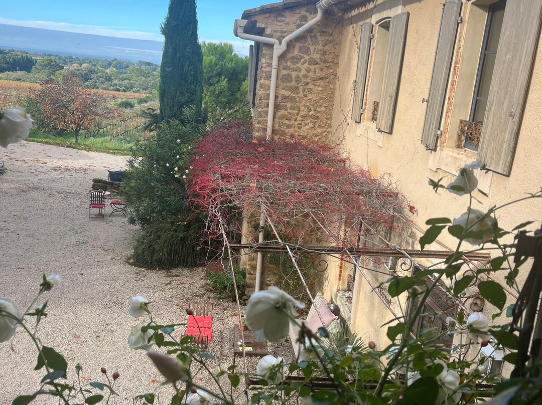 Le Clos Saint Saourde & SPA主图