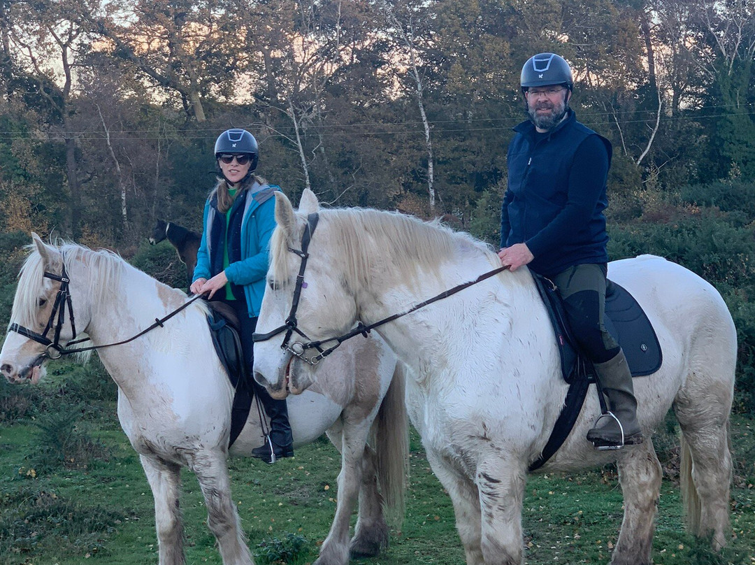 Coombe Stables-Sway必去景点