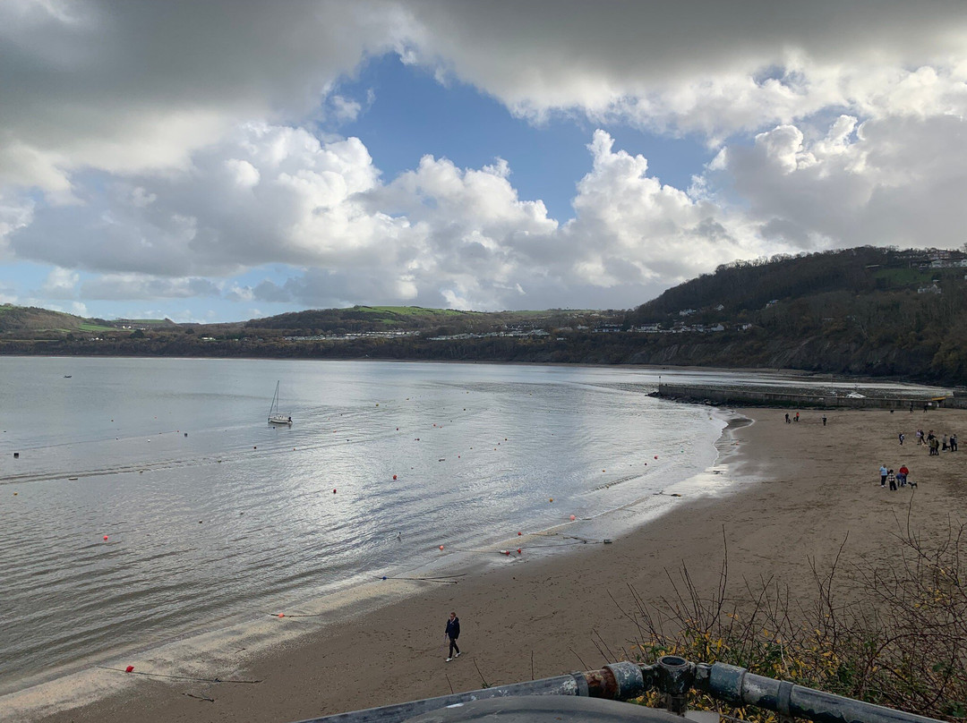 纽基酒店住宿-Cambrian Inn & Restaurant