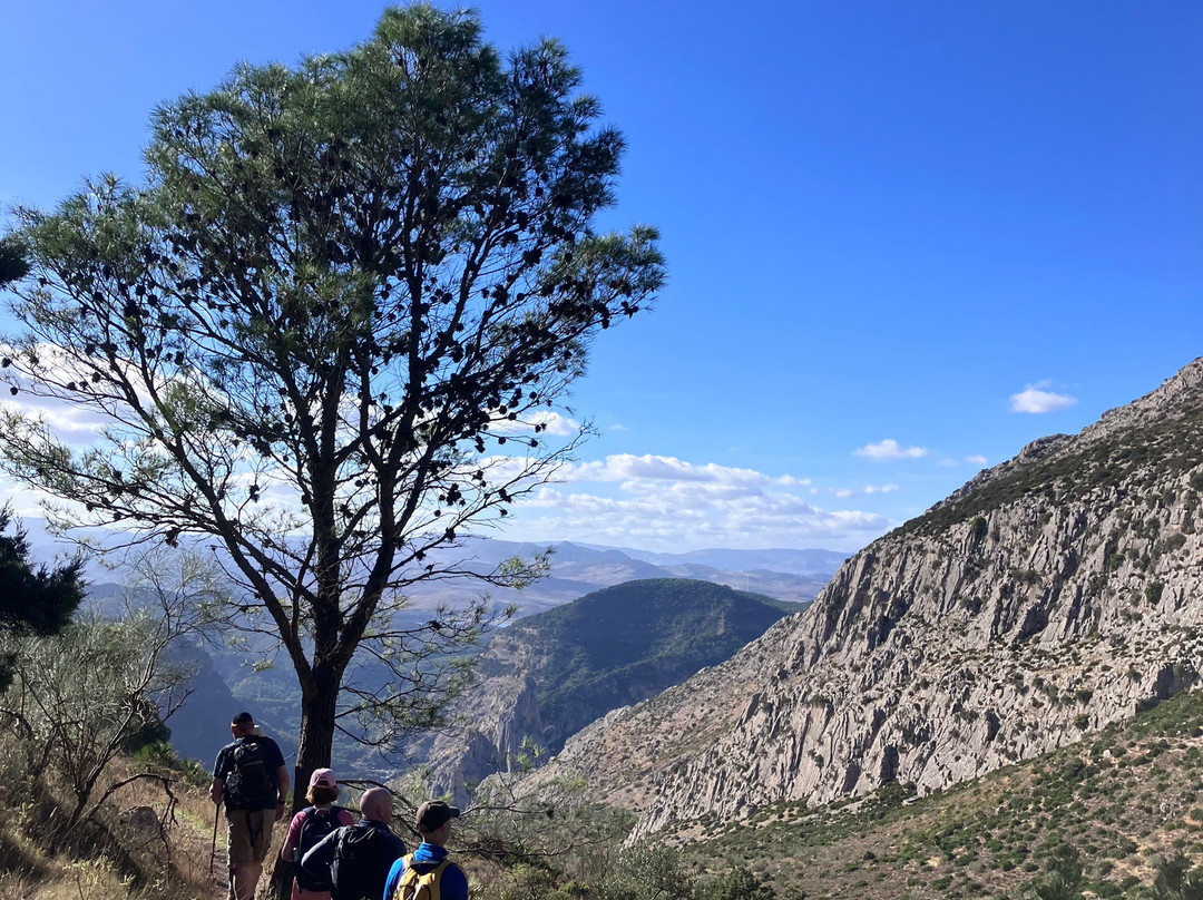 Andalucia On Foot-Comares必去景点