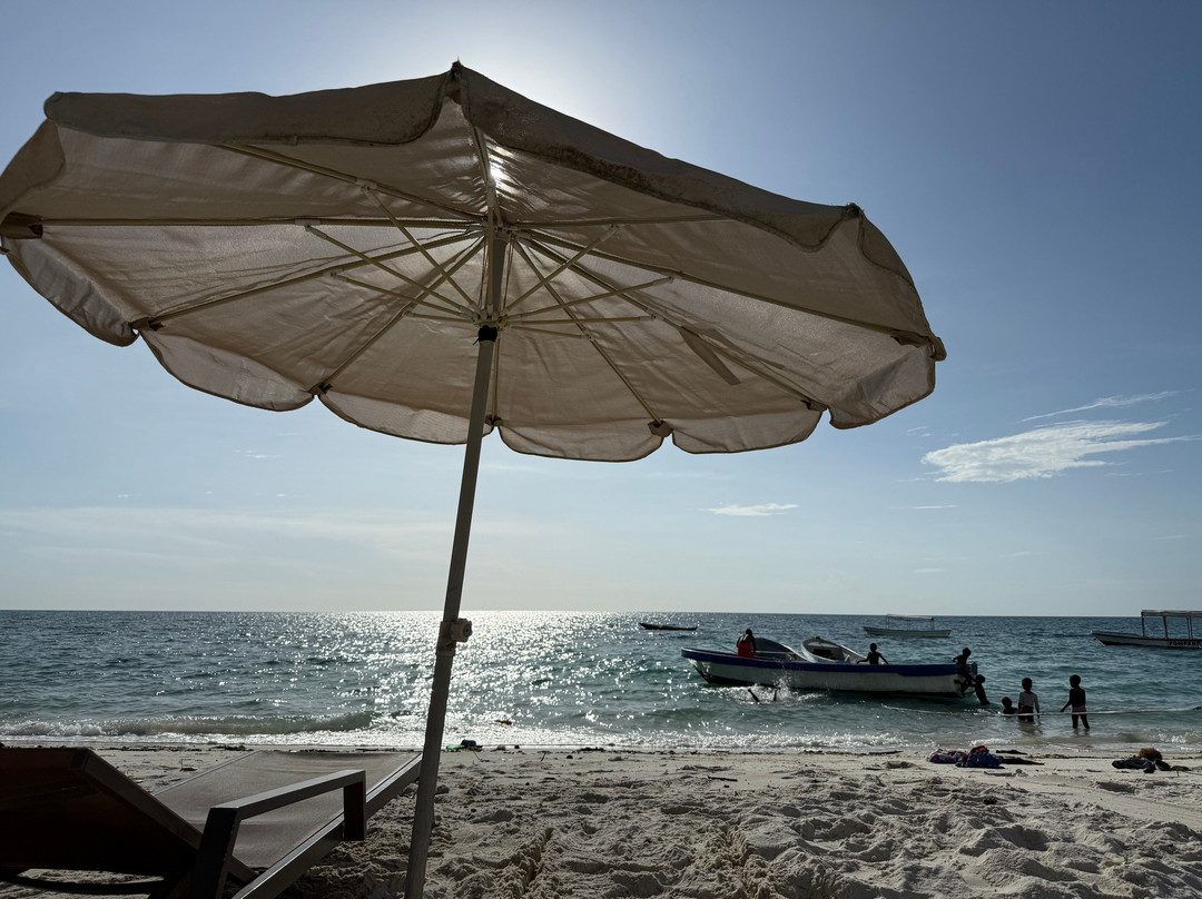 Fun Divers Zanzibar-奔巴岛必去景点