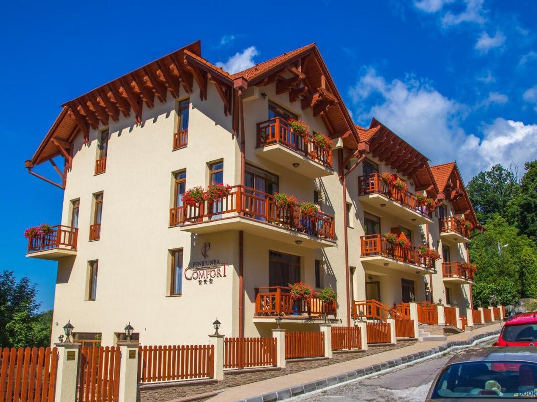 Ibanesti-Padure酒店住宿-Pensiunea Comfort
