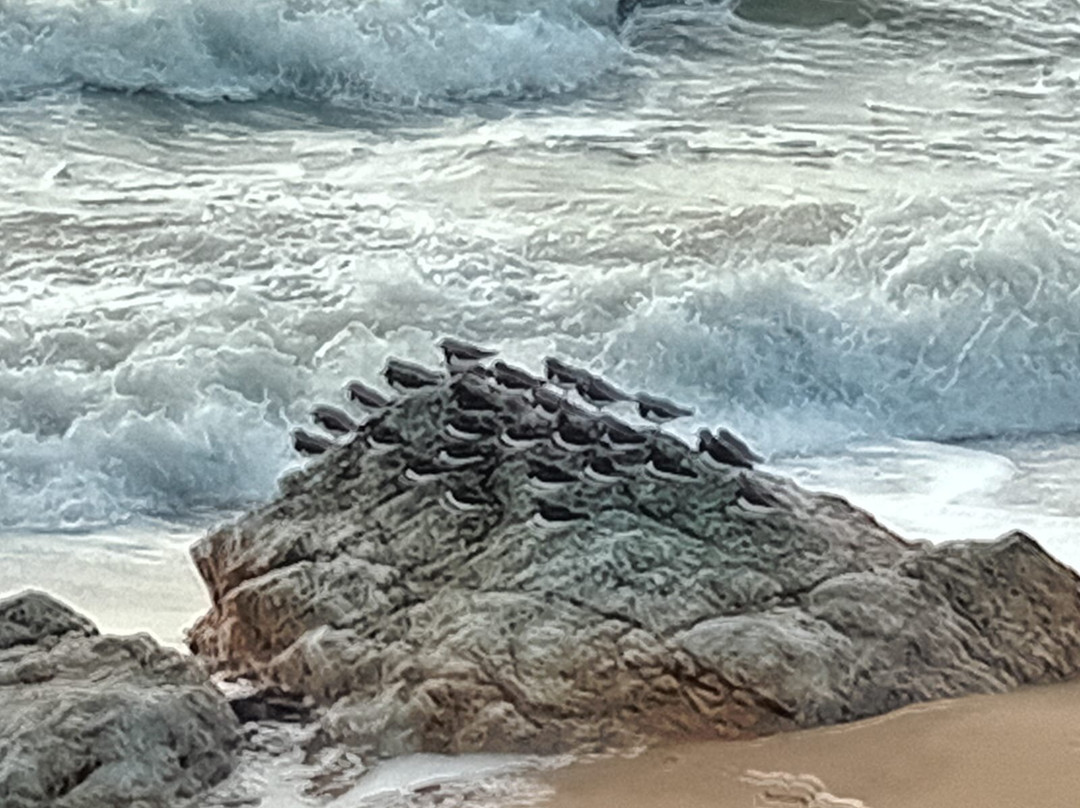 Les Quatre Vents主图