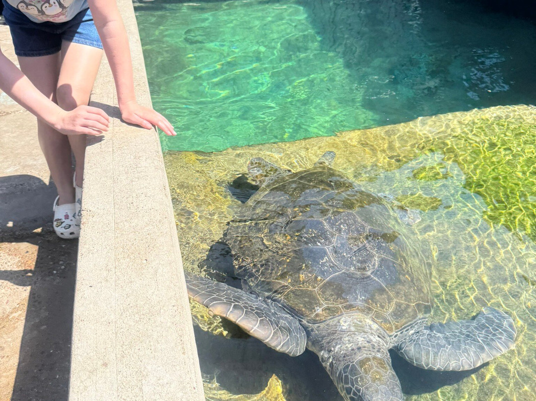 Reefworld Aquarium-尤兰根必去景点
