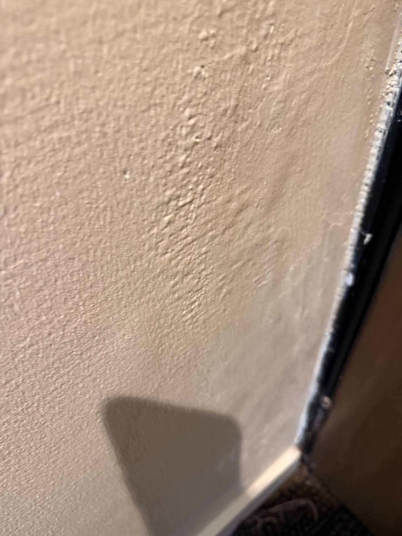 哈科特港诺富特酒店-客卧