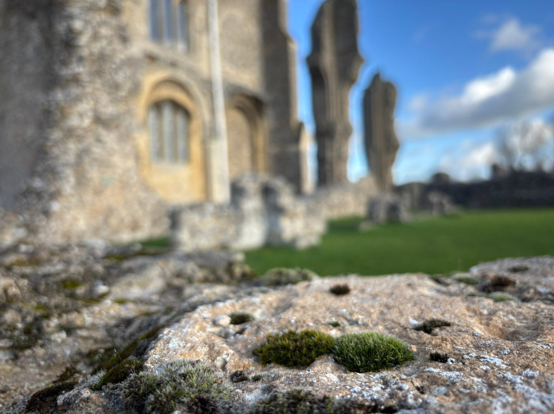 Binham Priory-Binham必去景点
