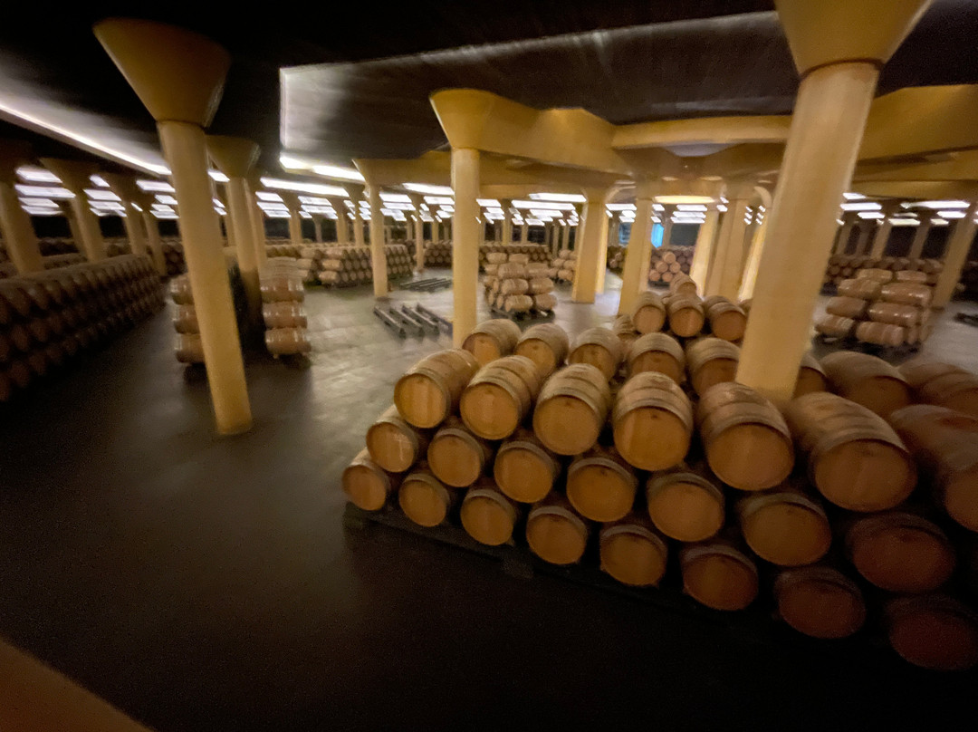 Cariñena Wine Museum-Carinena必去景点