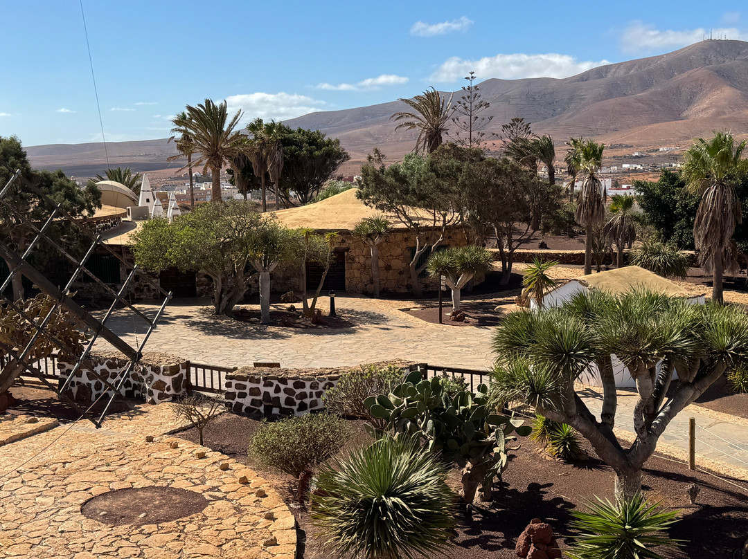 Museo del Queso Majorero-Antigua必去景点