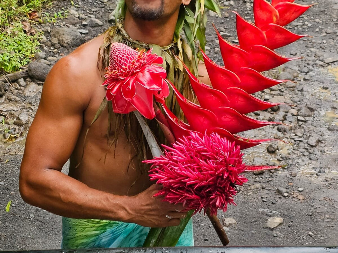 Marama Safari 4x4-法阿必去景点