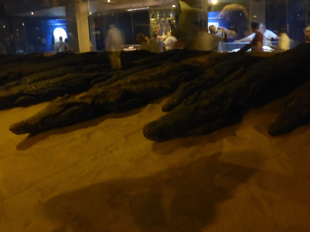 Crocodile Museum-Kom Ombo必去景点