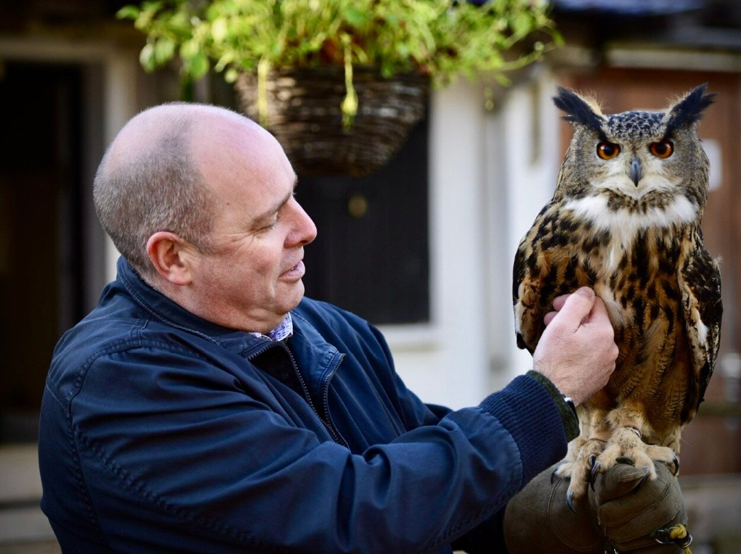 World of Owls-Randalstown必去景点