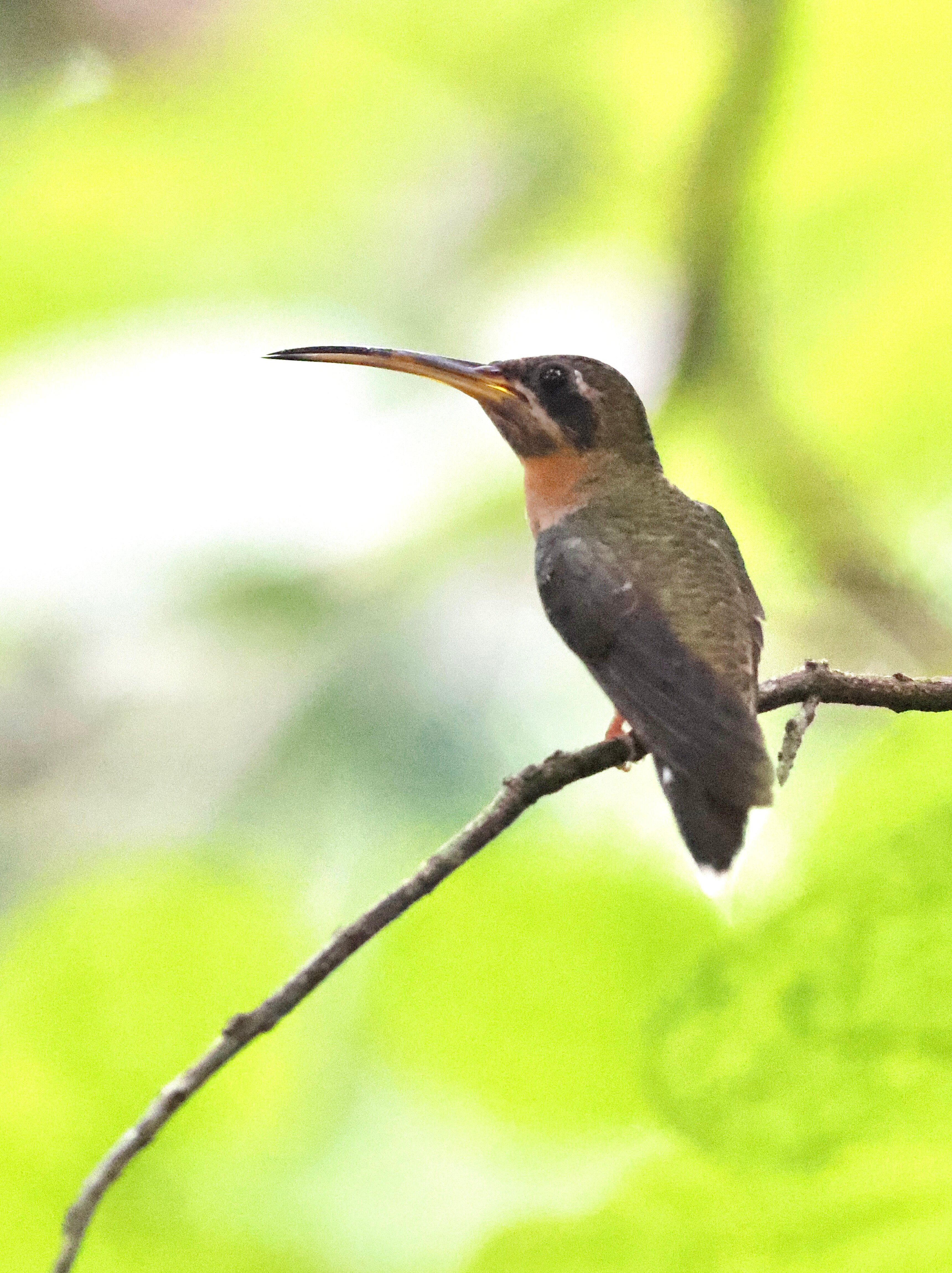 La Palapa Eco Lodge Resort-酒店景观