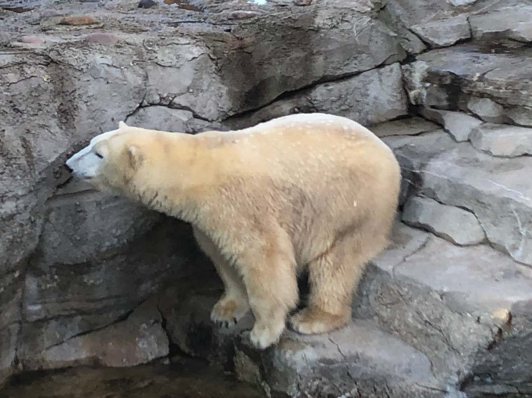 Zoo am Meer-不来梅港必去景点