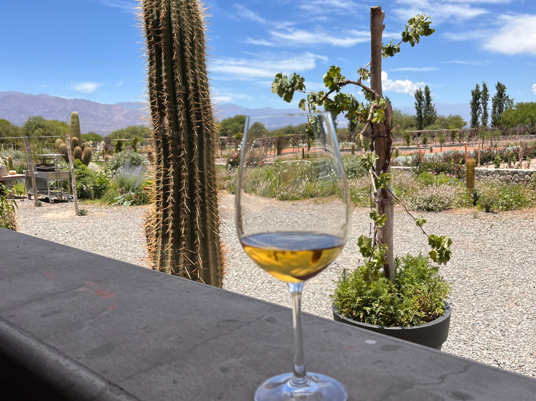 Viñas En Flor Bodega-卡法亚特必去景点