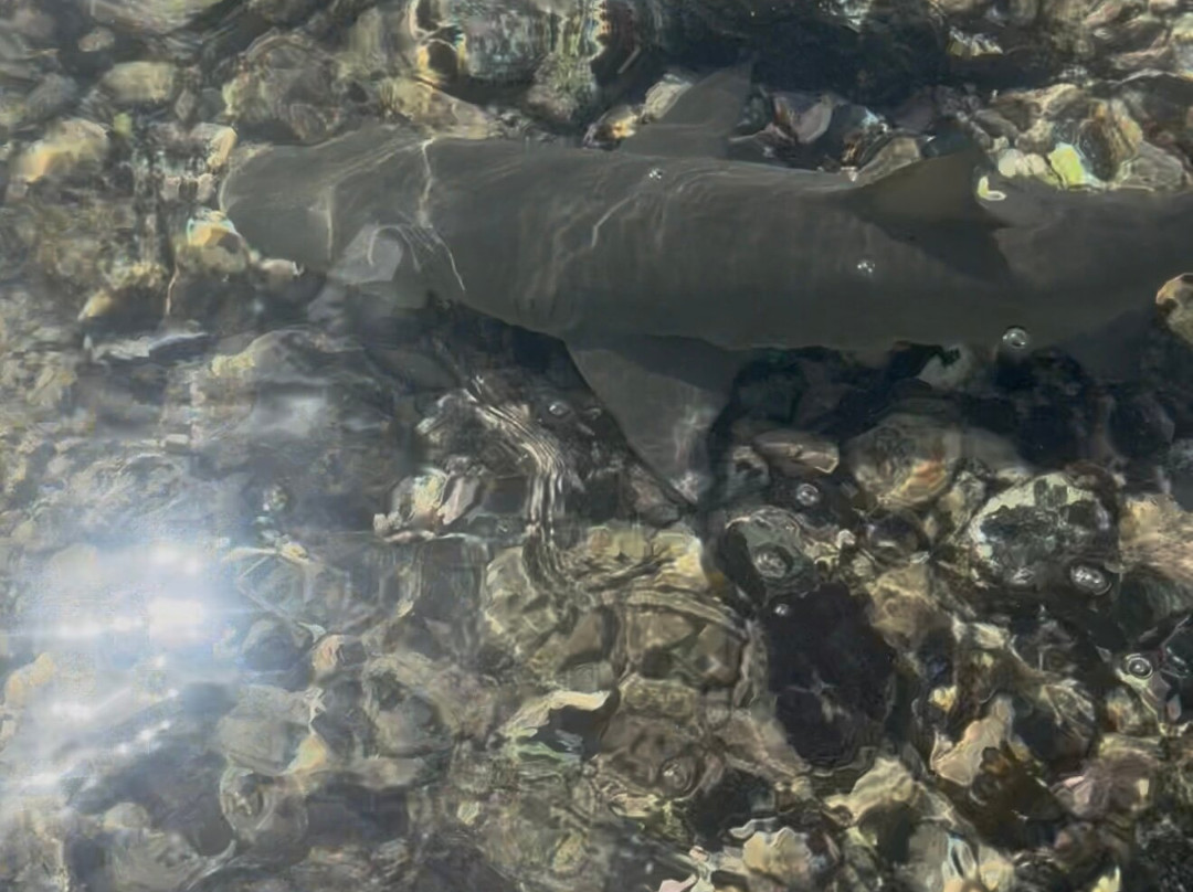 Explore Cape Verde-圣塔玛丽亚必去景点