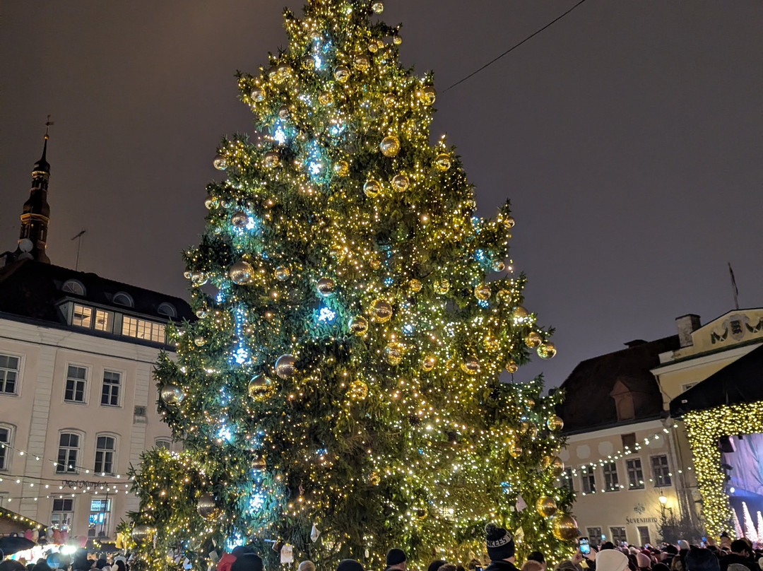 市政厅广场-塔林必去景点
