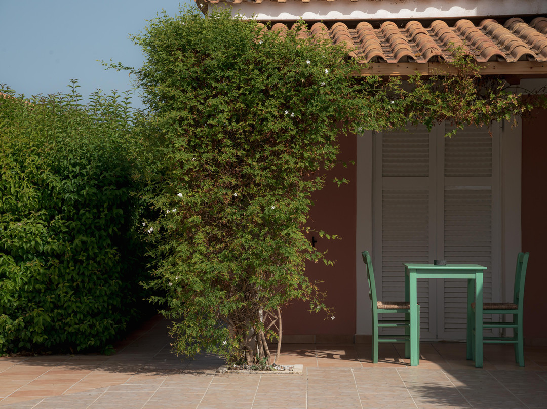 艾克勒索特泽菲罗斯宾馆主图