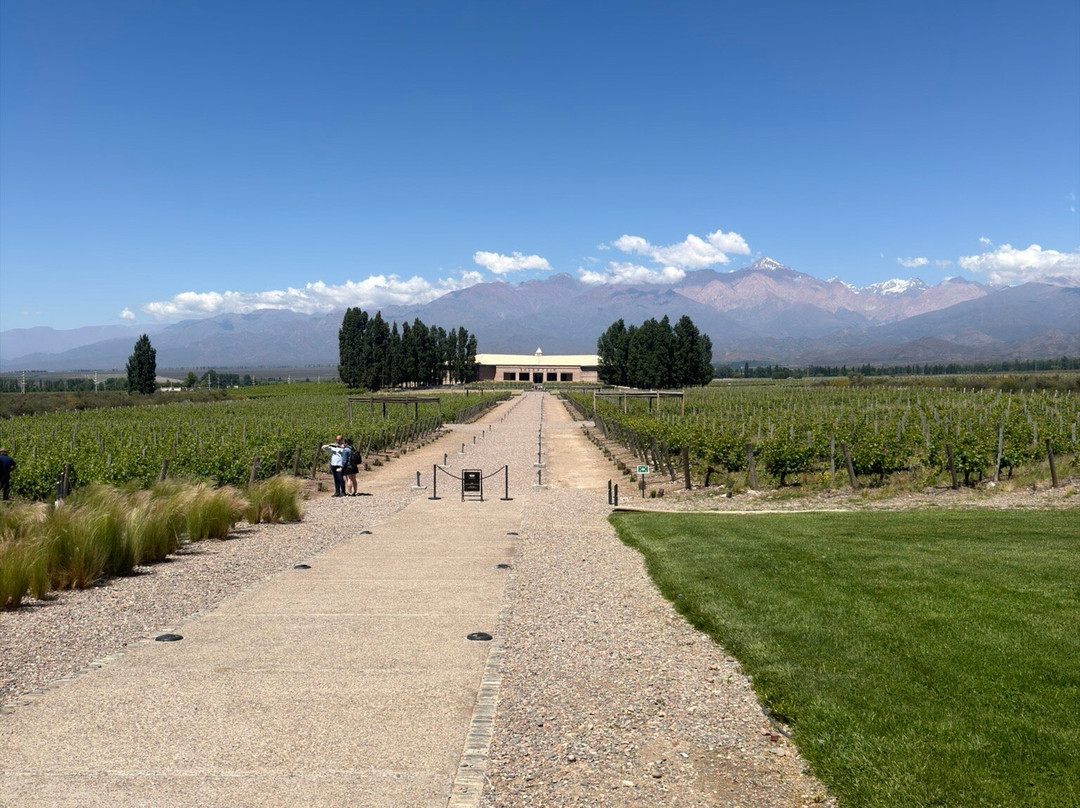 This is Mendoza-门多萨必去景点