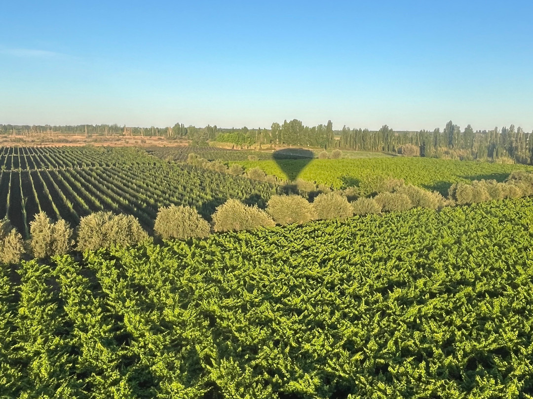 Mendoza Balloons-门多萨必去景点