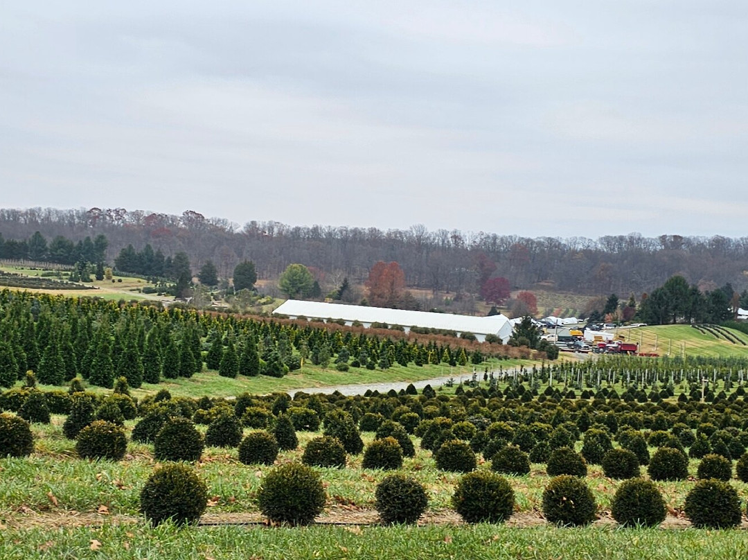 Foxborough Nursery-Street必去景点