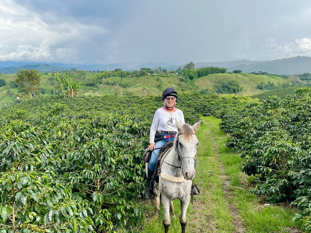 Rancho Saman-佩雷拉必去景点