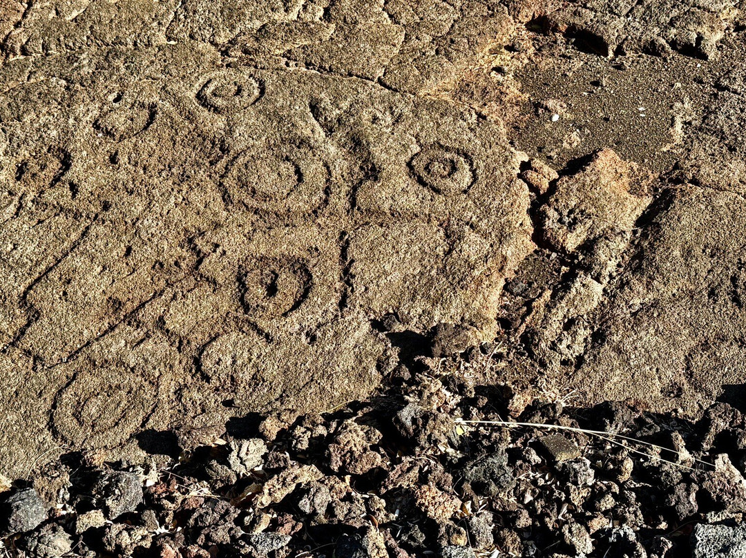 Waikoloa Petroglyph Preserve-威可洛亚必去景点