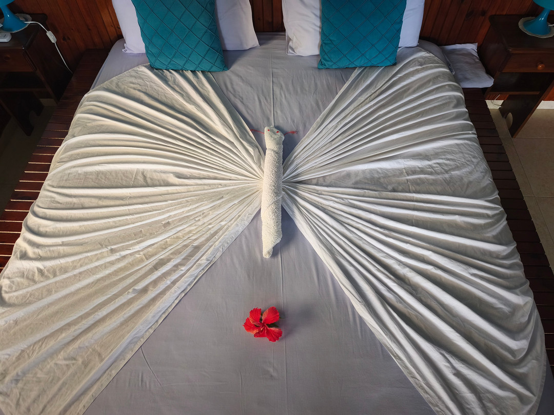 Les Elles Guesthouse Self Catering主图