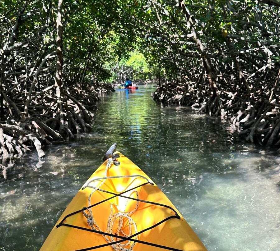 Sea Kayak Adventures-毛里求斯必去景点