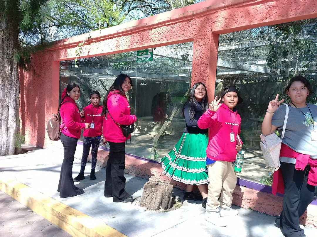 Zoologico de Altiplano-Tlaxcala必去景点