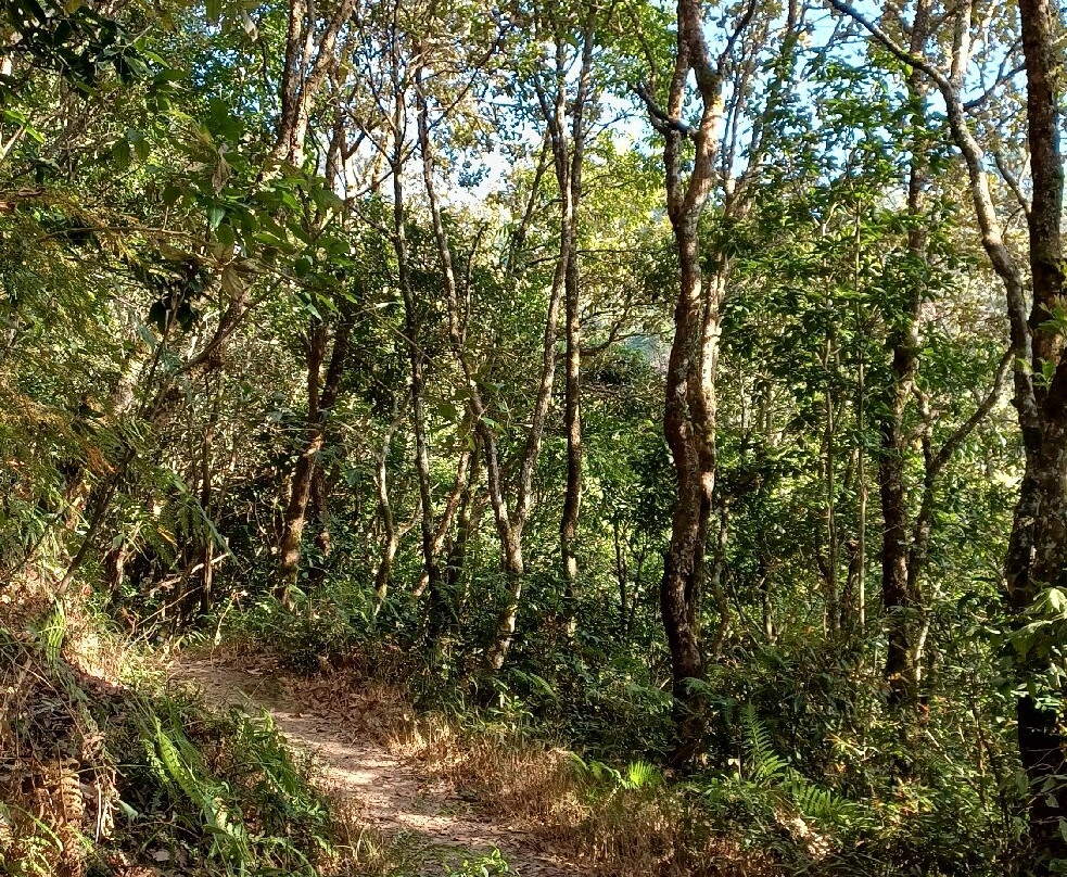 Nagarkot Nature Trail-纳加阔特必去景点