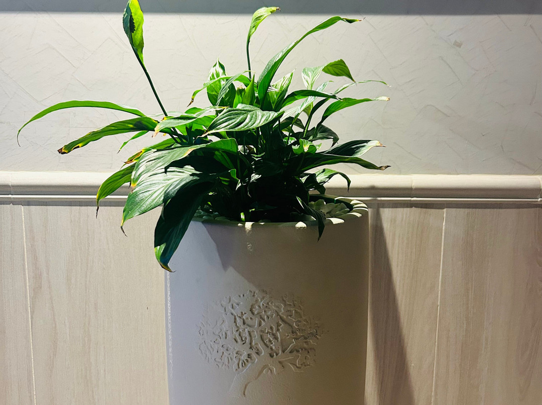 Jannah Hotel Apartments & Villas主图