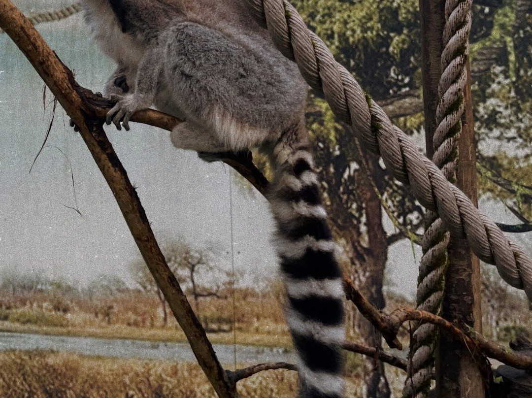 Wild Zoological Park-Bobbington必去景点