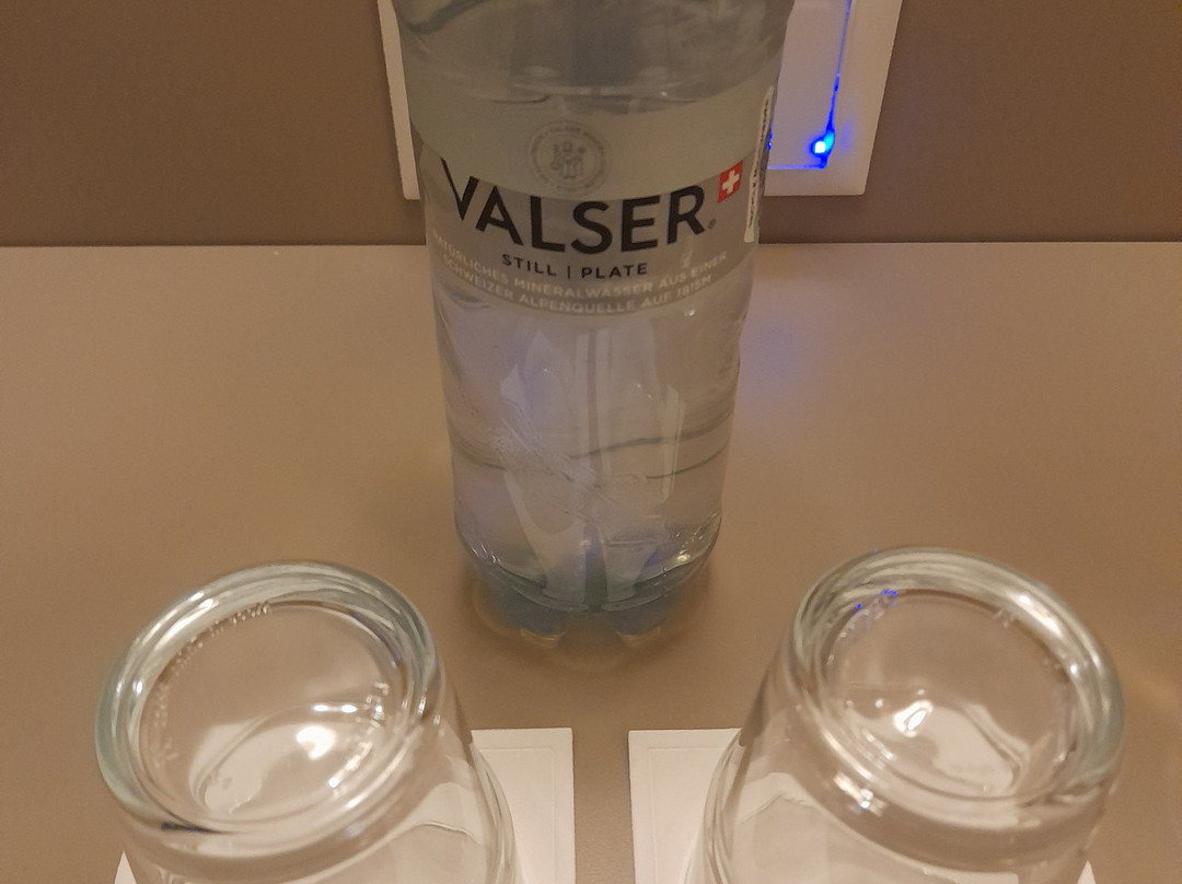 Lake Geneva Hotel主图