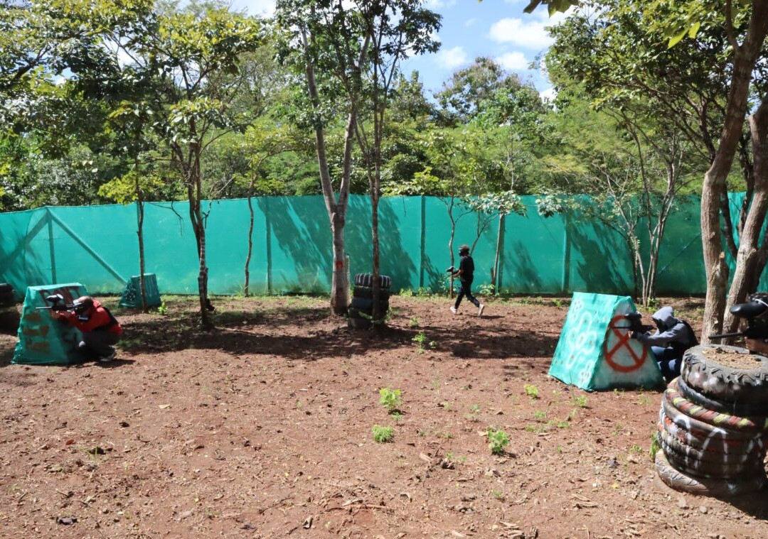 Pinilla Paintball-Pinilla必去景点