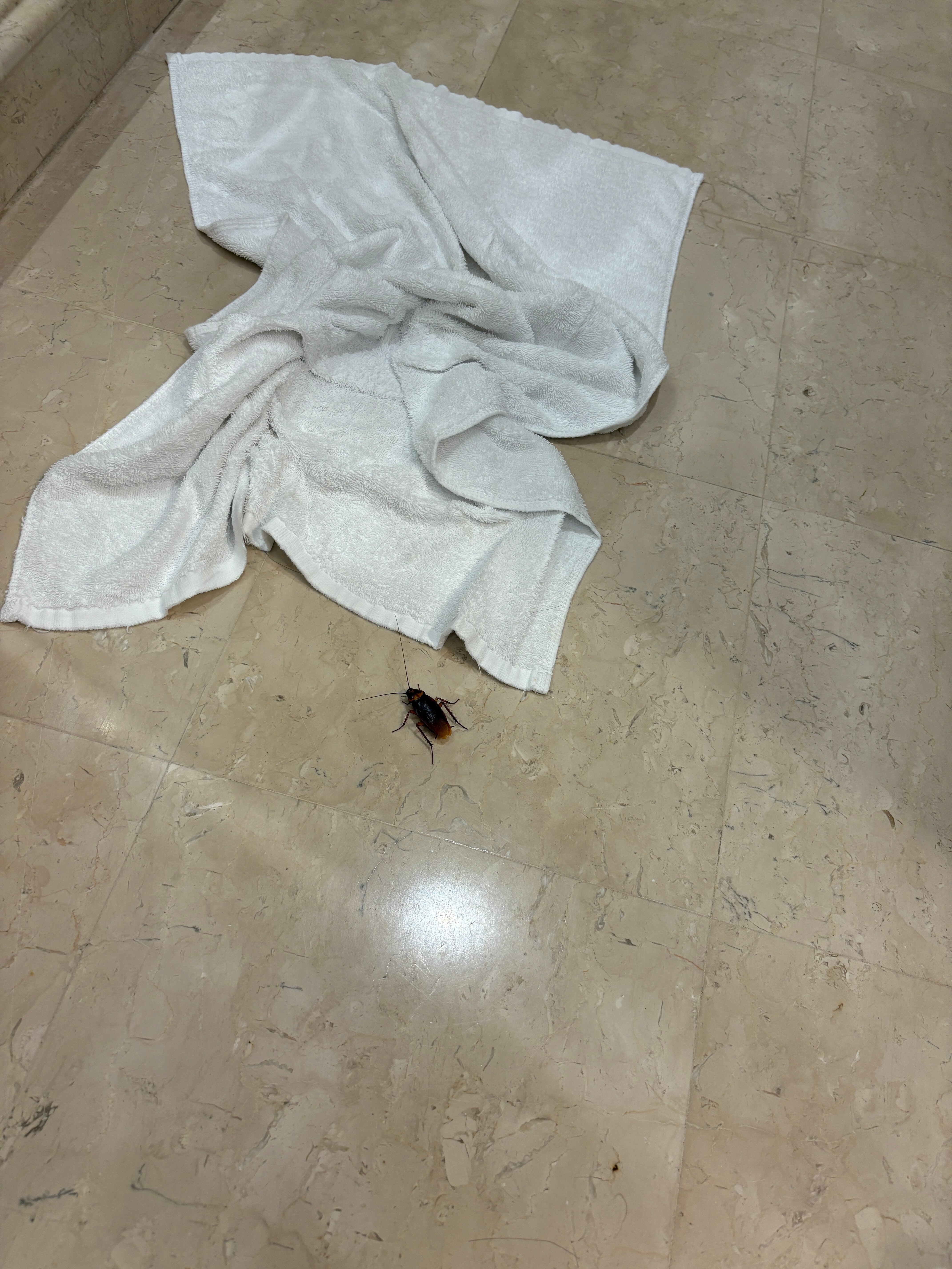 悉尼朗廷酒店-浴室