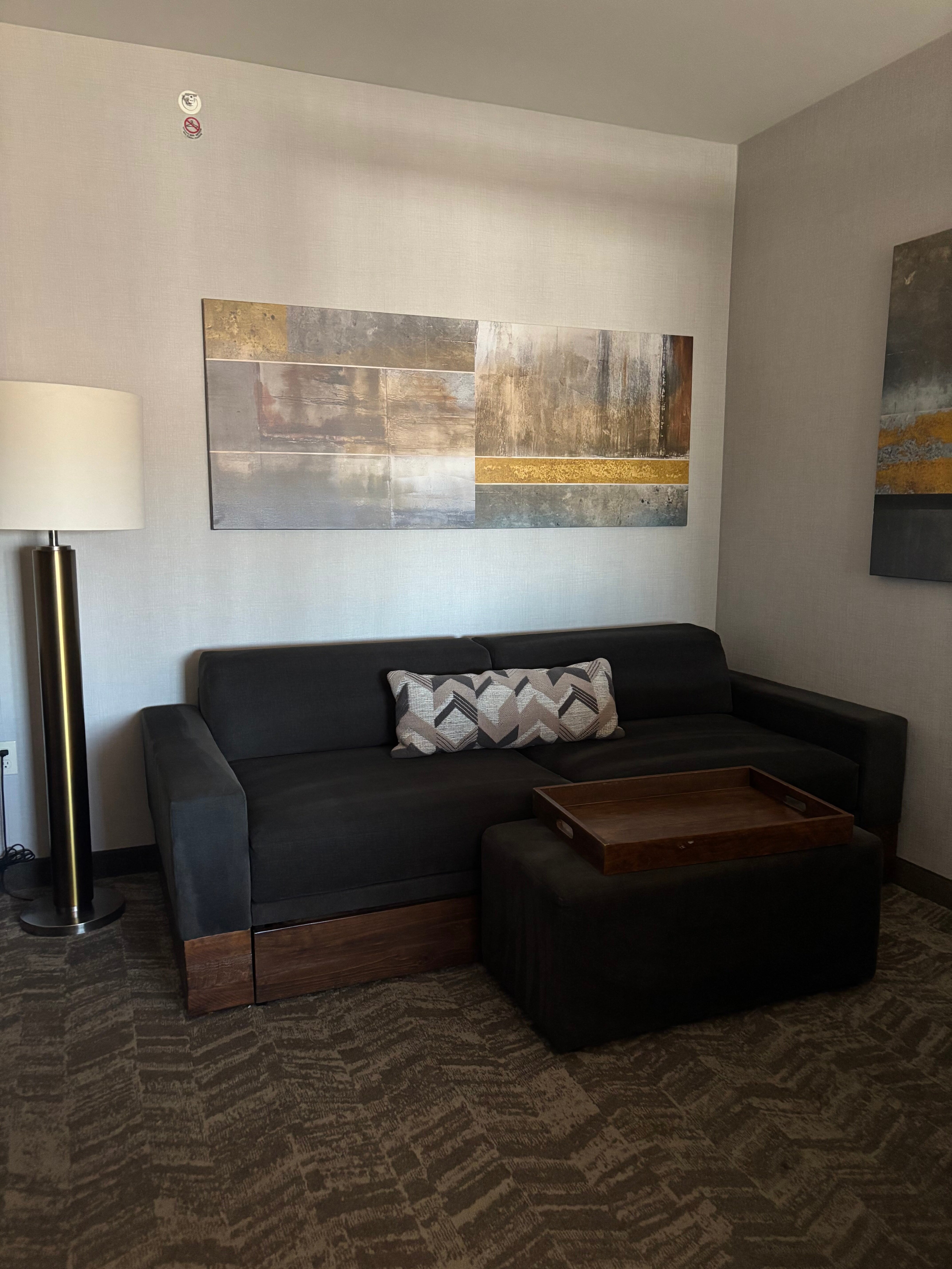 SpringHill Suites by Marriott Gallup-客卧