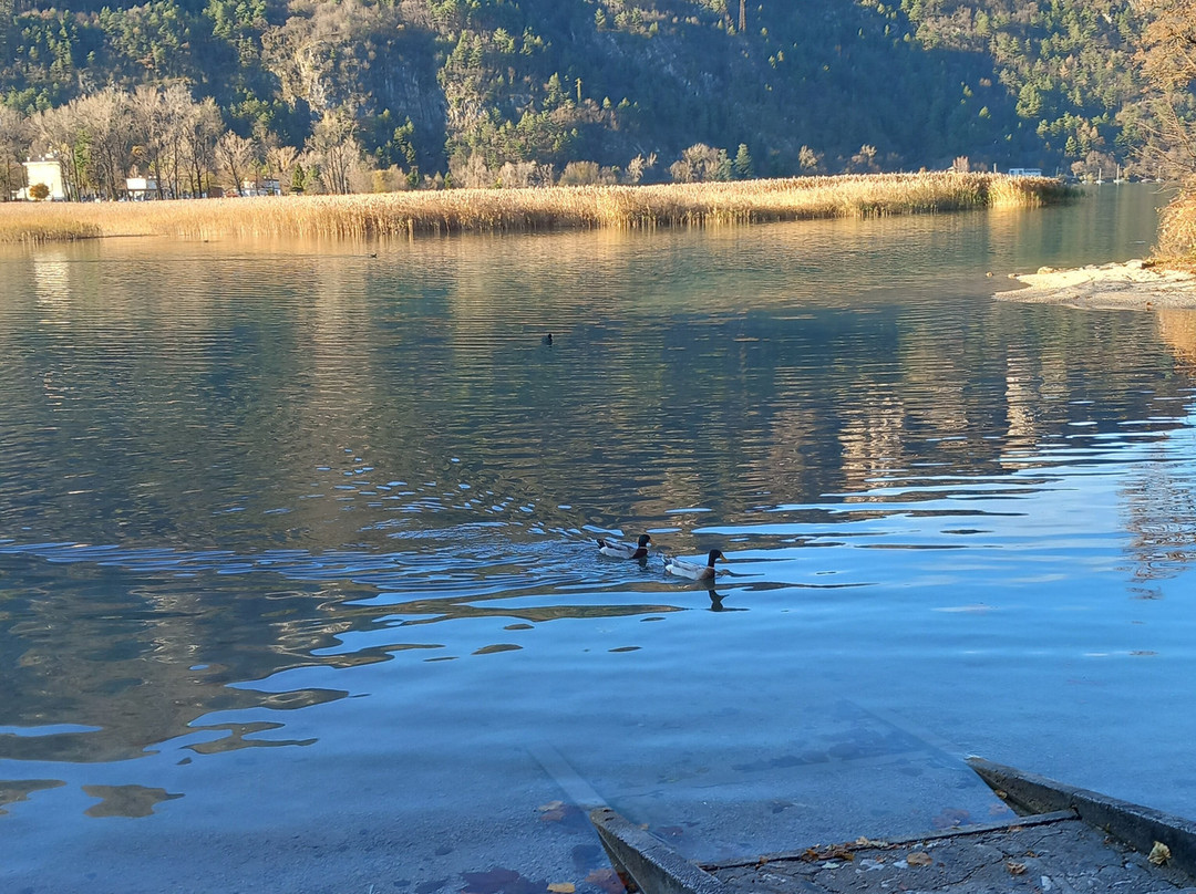 Lago Di Cavazzo-Cavazzo Carnico必去景点