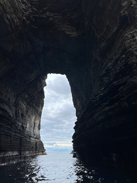 Wild Ocean Tasmania-伊格尔霍克内克必去景点