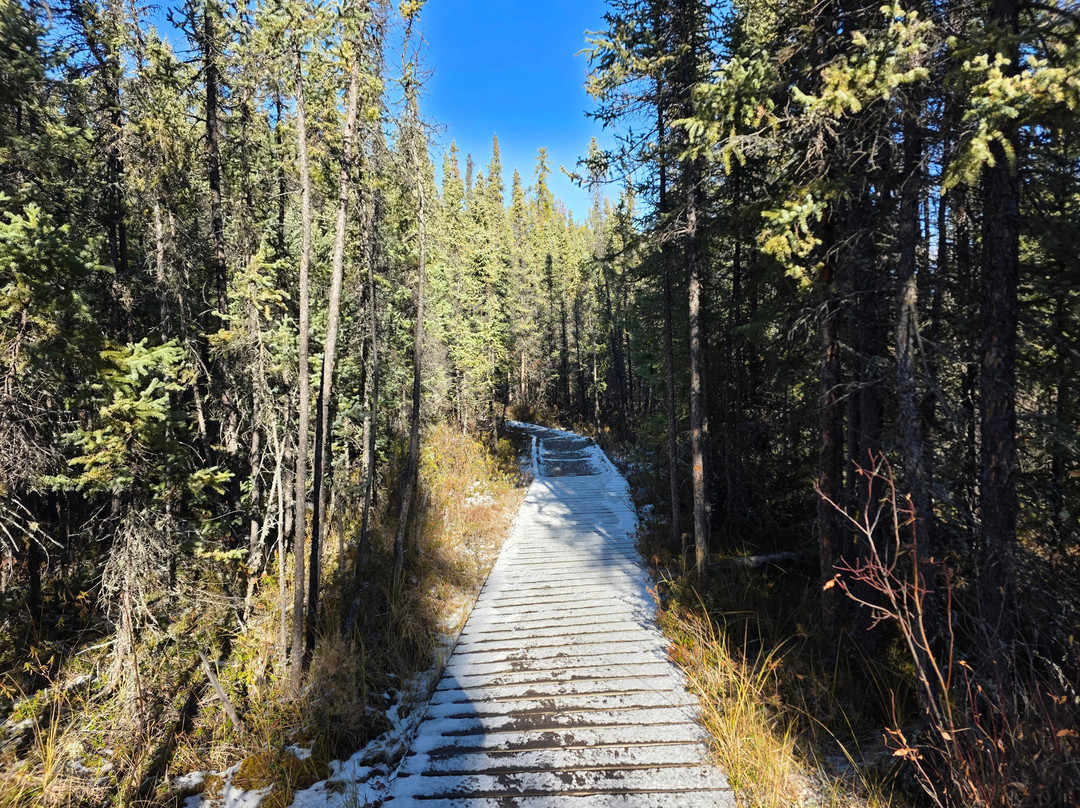 My Backyard Tours-黄刀镇必去景点
