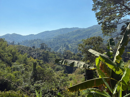 Parntrek-清莱必去景点