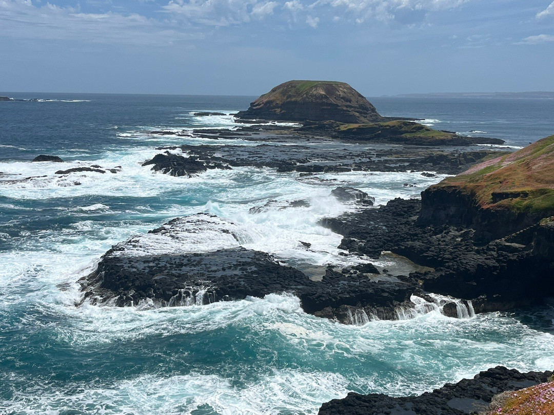 The Nobbies-萨默兰必去景点