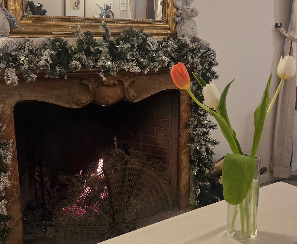 金希卡别墅酒店主图