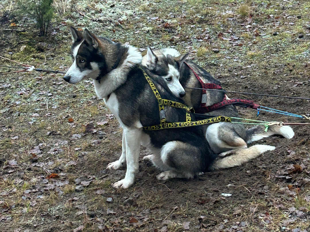 Arctic Expedition-埃斯波必去景点