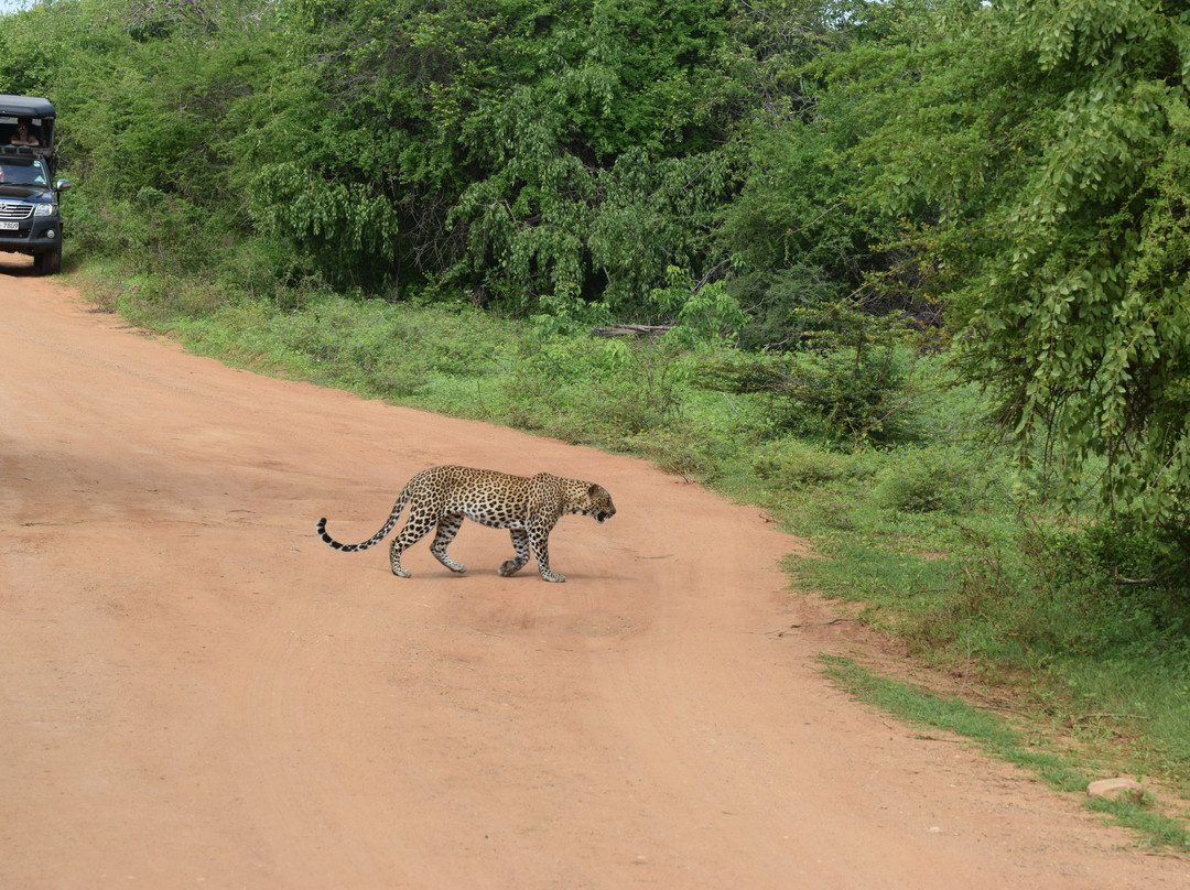 Gesha Tours Sri Lanka-Panadura必去景点