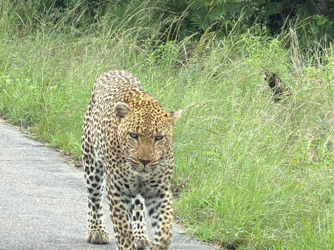 Shinzelle Safaris-雾观必去景点