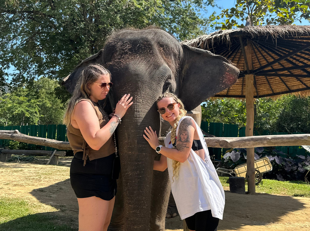 Lanta Island Safari Elephant Lover-Khlong Hin必去景点